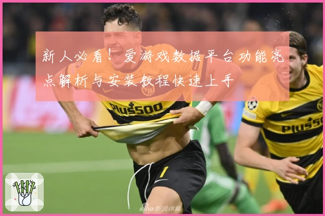 新人必看！爱游戏数据平台功能亮点解析与安装教程快速上手