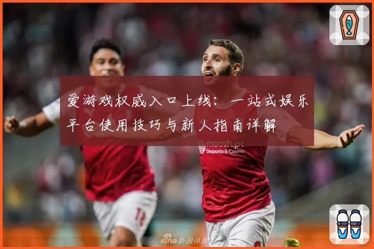 爱游戏权威入口上线：一站式娱乐平台使用技巧与新人指南详解